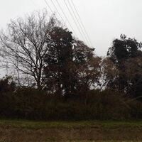快適な屋外空間を実現する造園工事