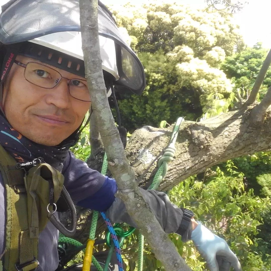 プロが教える木にまつわる豆知識