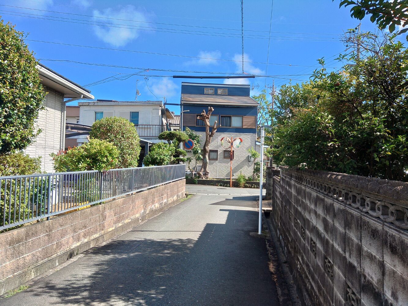 プロが教える木にまつわる豆知識