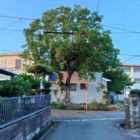 快適な屋外空間を実現する造園工事