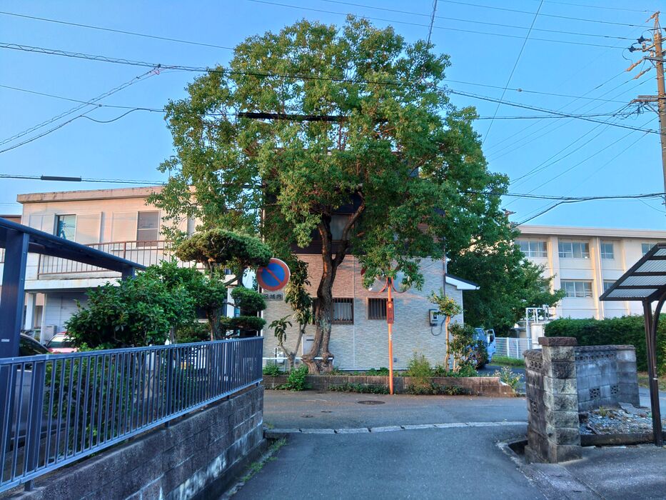 快適な屋外空間を実現する造園工事