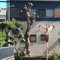 快適な屋外空間を実現する造園工事