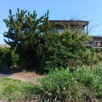 快適な屋外空間を実現する造園工事