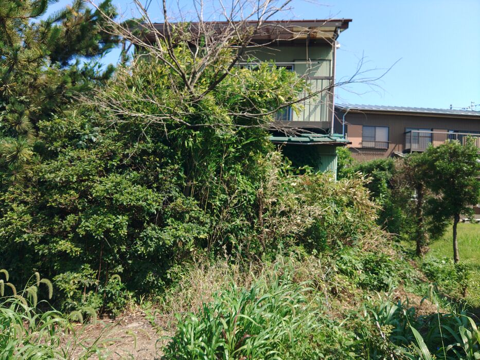 快適な屋外空間を実現する造園工事