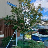 快適な屋外空間を実現する造園工事