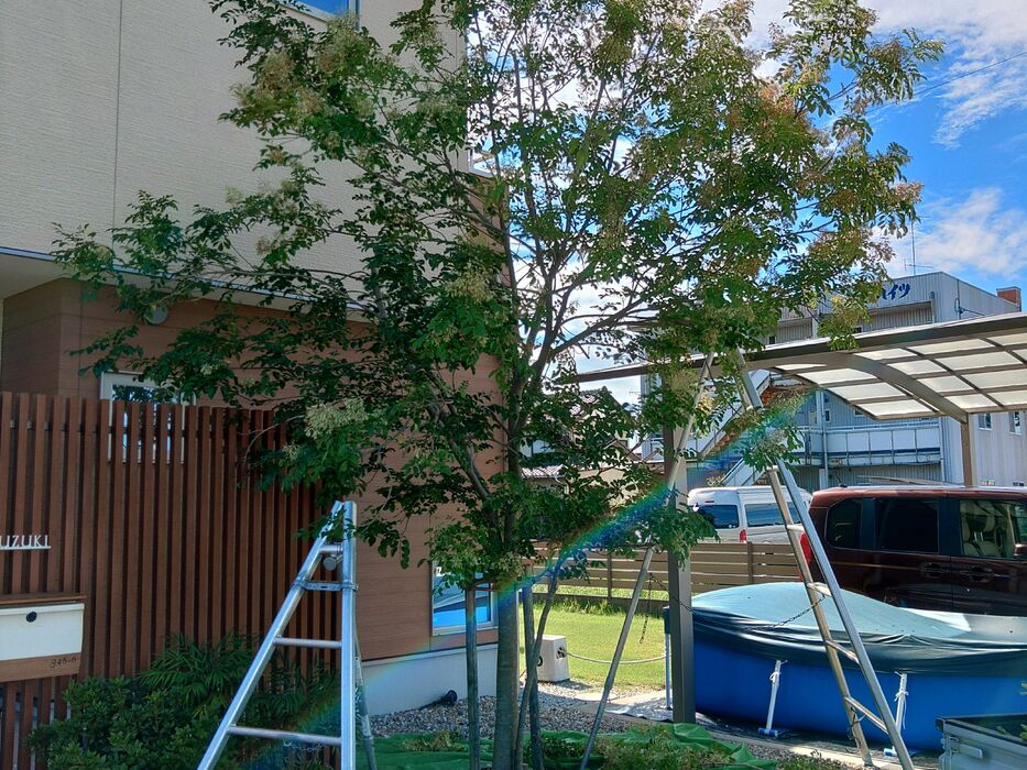 快適な屋外空間を実現する造園工事