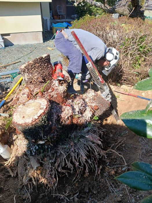 快適な屋外空間を実現する造園工事