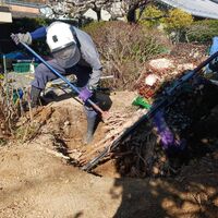 快適な屋外空間を実現する造園工事