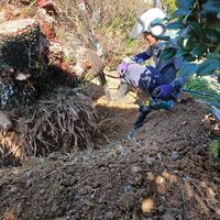 快適な屋外空間を実現する造園工事