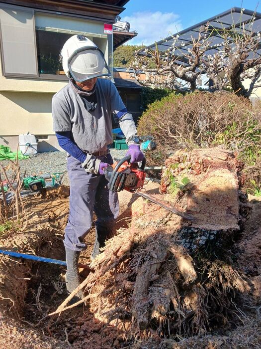 快適な屋外空間を実現する造園工事