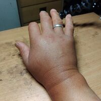 プロが教える木にまつわる豆知識