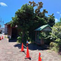 プロが教える木にまつわる豆知識