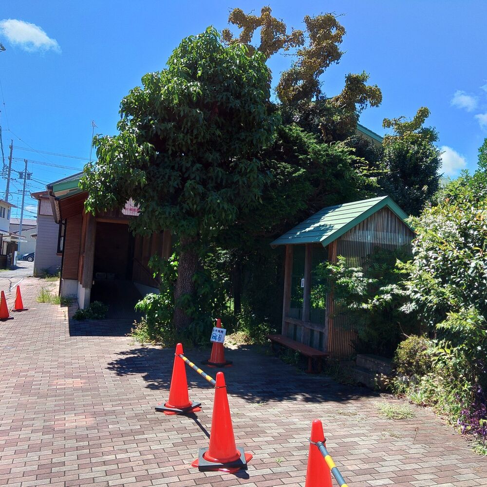 プロが教える木にまつわる豆知識