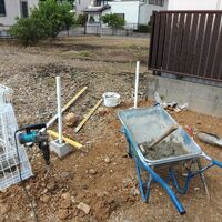 プロが教える木にまつわる豆知識