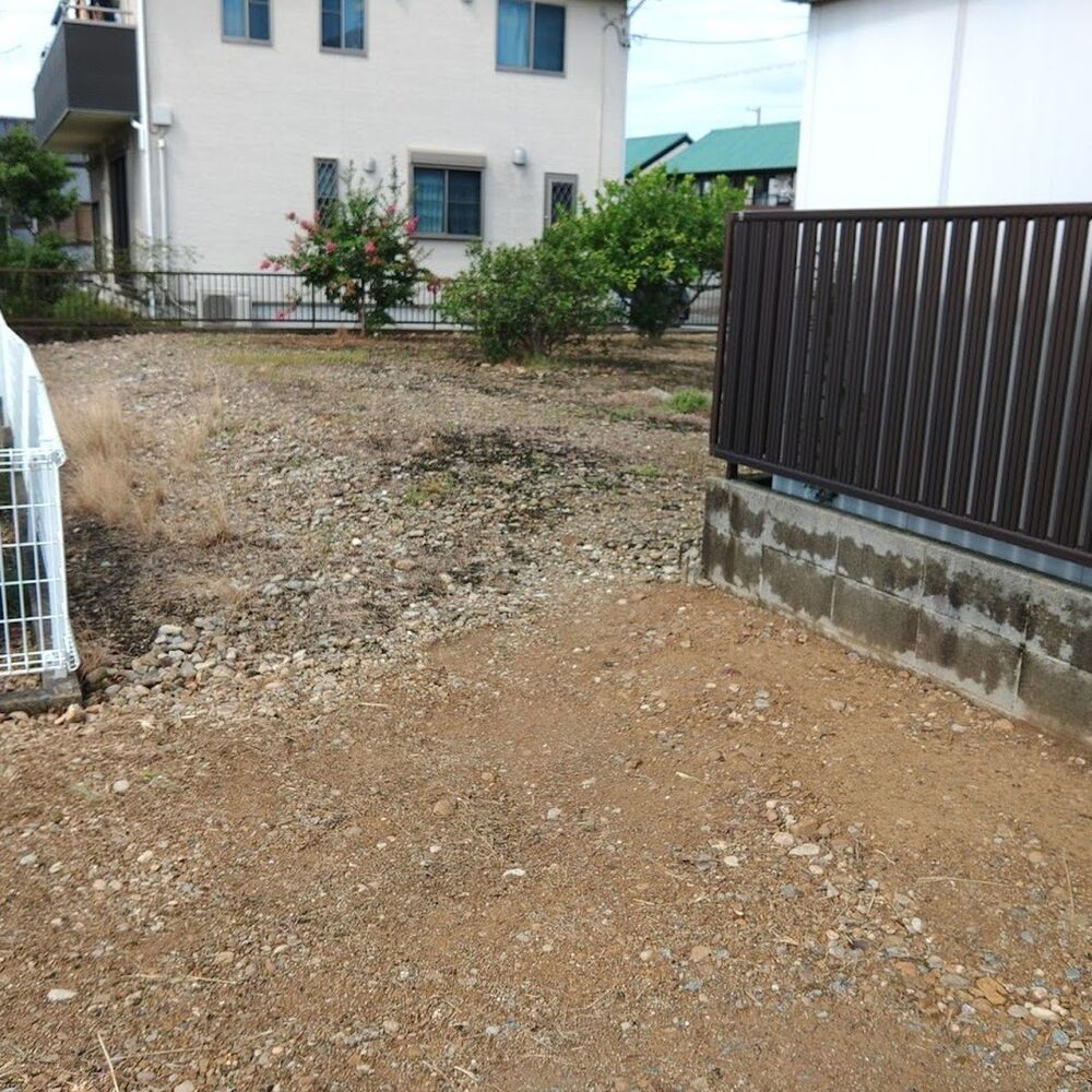 プロが教える木にまつわる豆知識