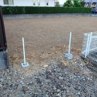 プロが教える木にまつわる豆知識