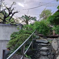 プロが教える木にまつわる豆知識