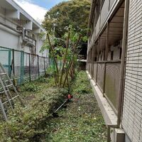 プロが教える木にまつわる豆知識