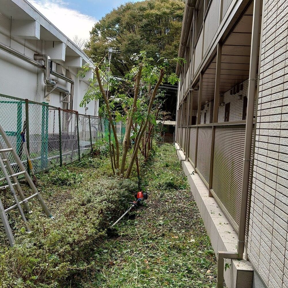 プロが教える木にまつわる豆知識