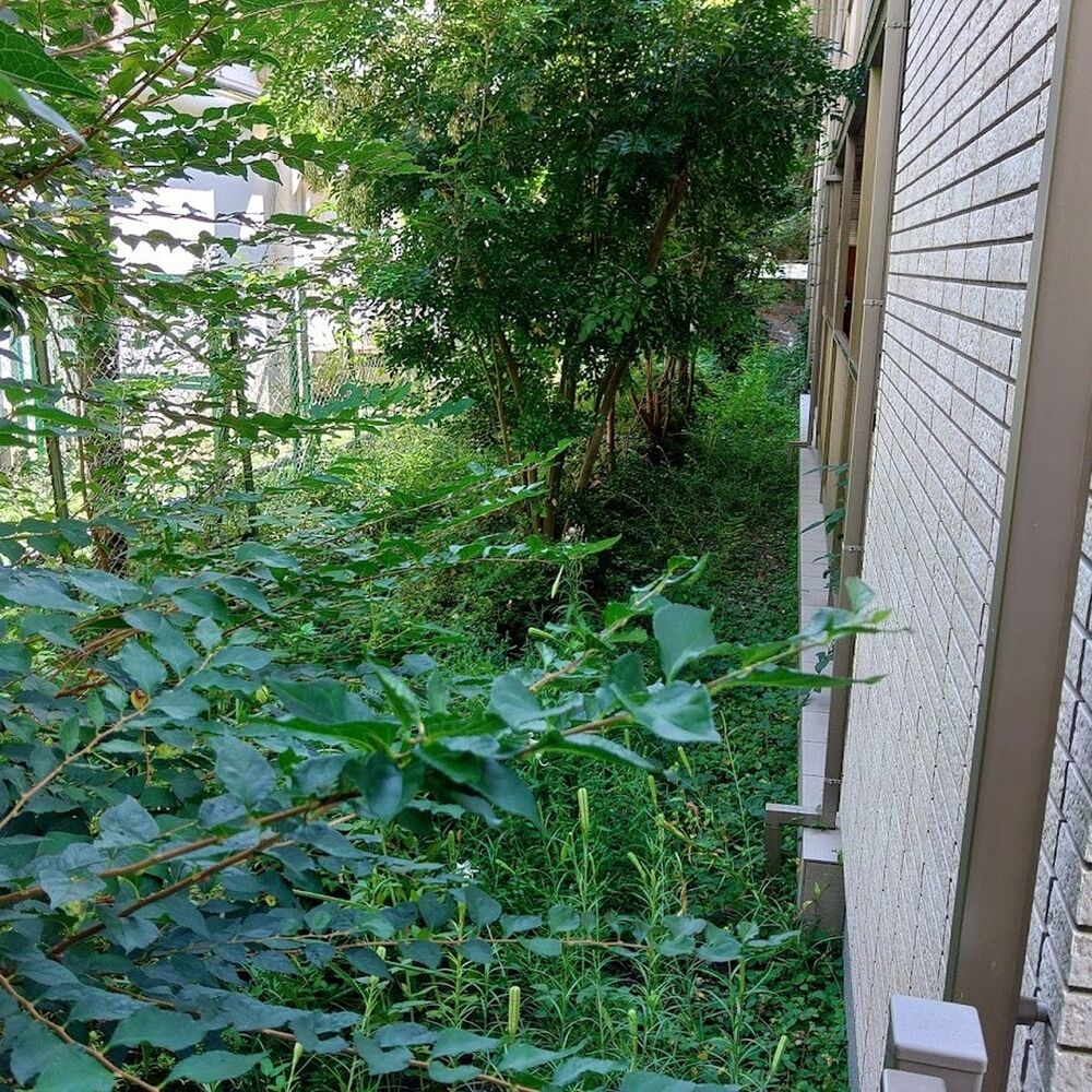 プロが教える木にまつわる豆知識