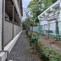 プロが教える木にまつわる豆知識