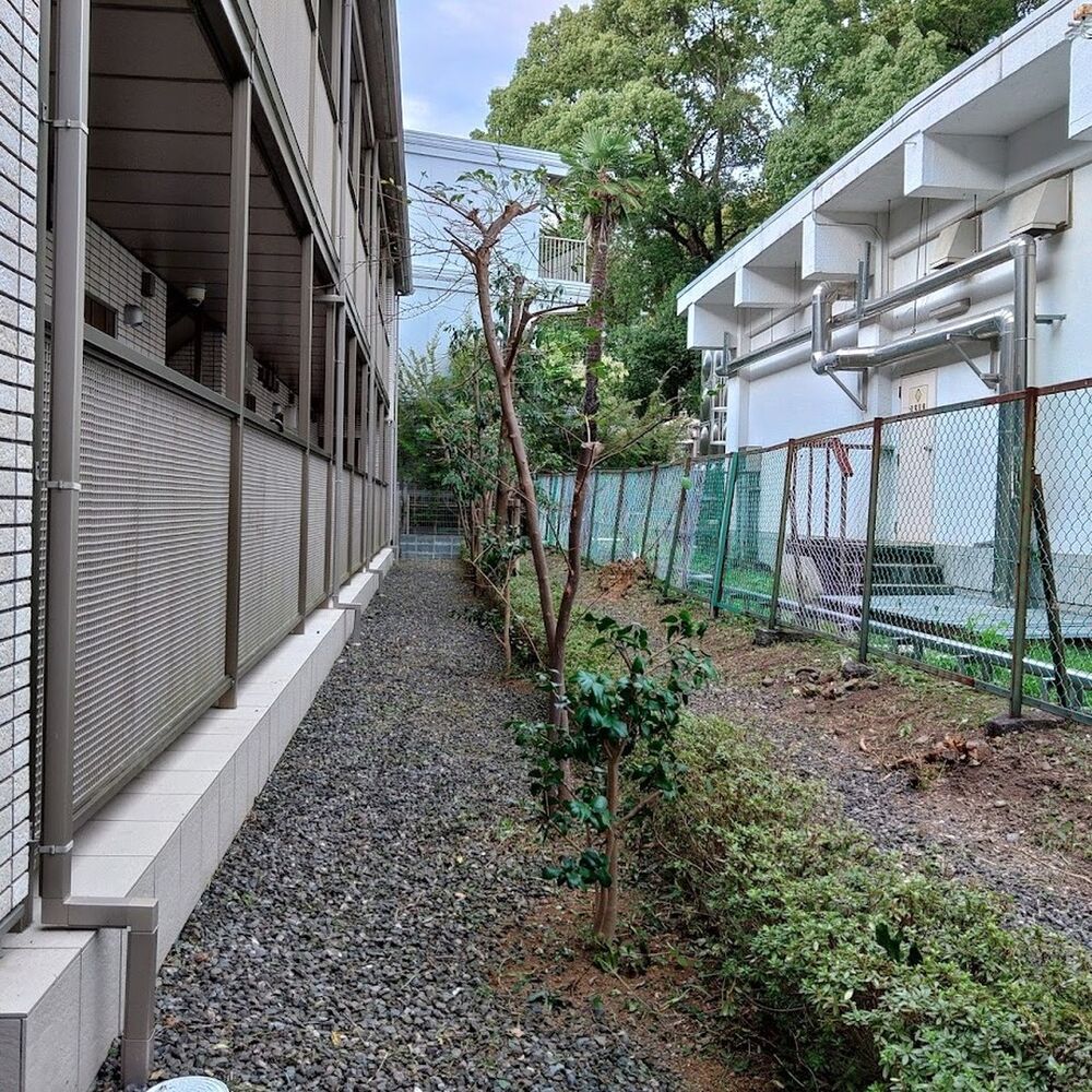 プロが教える木にまつわる豆知識