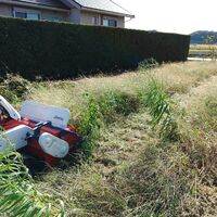 プロが教える木にまつわる豆知識