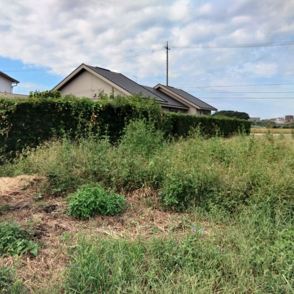 プロが教える木にまつわる豆知識