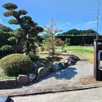 プロが教える木にまつわる豆知識