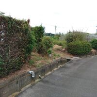 プロが教える木にまつわる豆知識