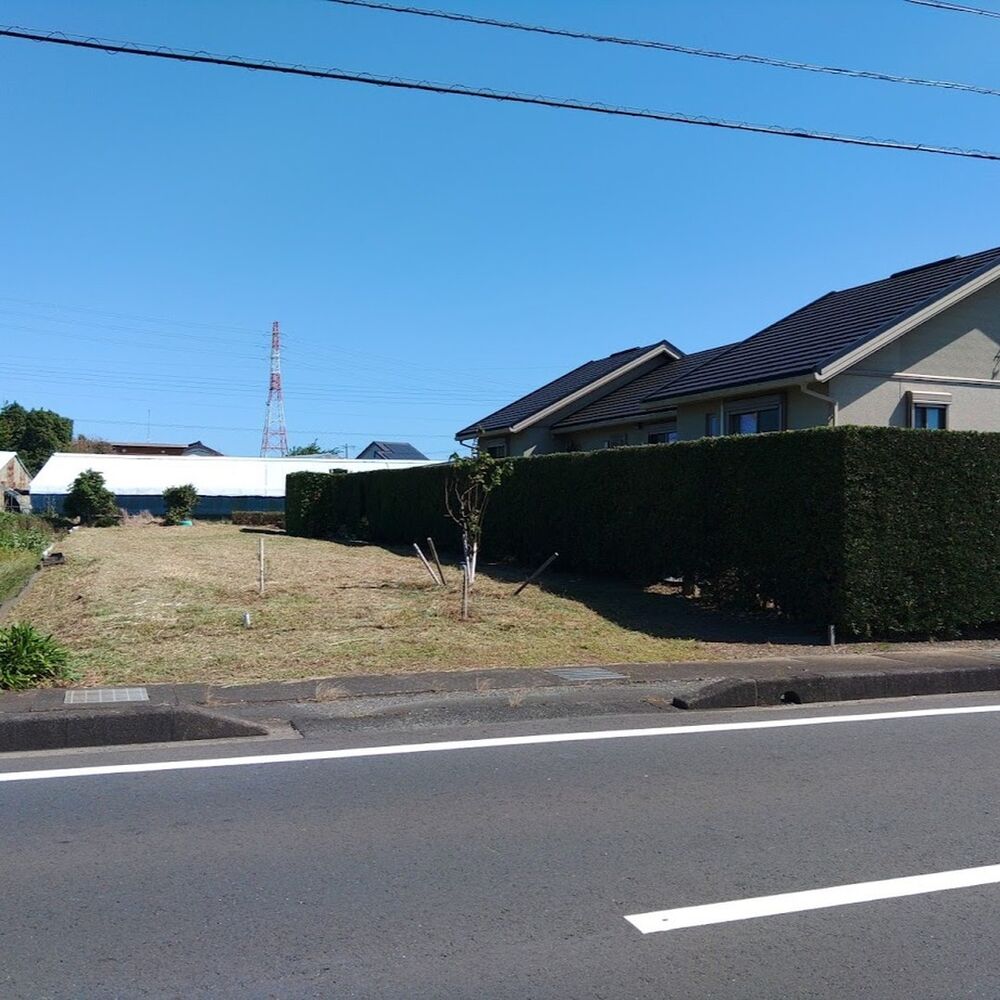 プロが教える木にまつわる豆知識