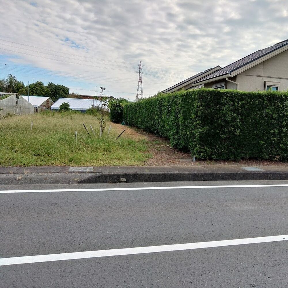 プロが教える木にまつわる豆知識