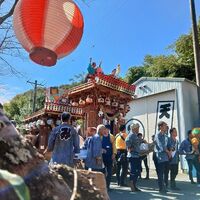 プロが教える木にまつわる豆知識