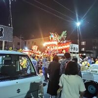 プロが教える木にまつわる豆知識