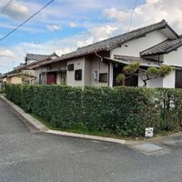 プロが教える木にまつわる豆知識