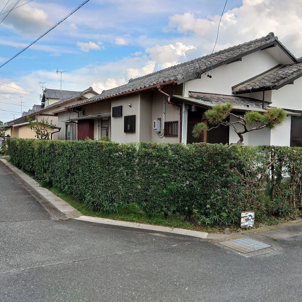 プロが教える木にまつわる豆知識