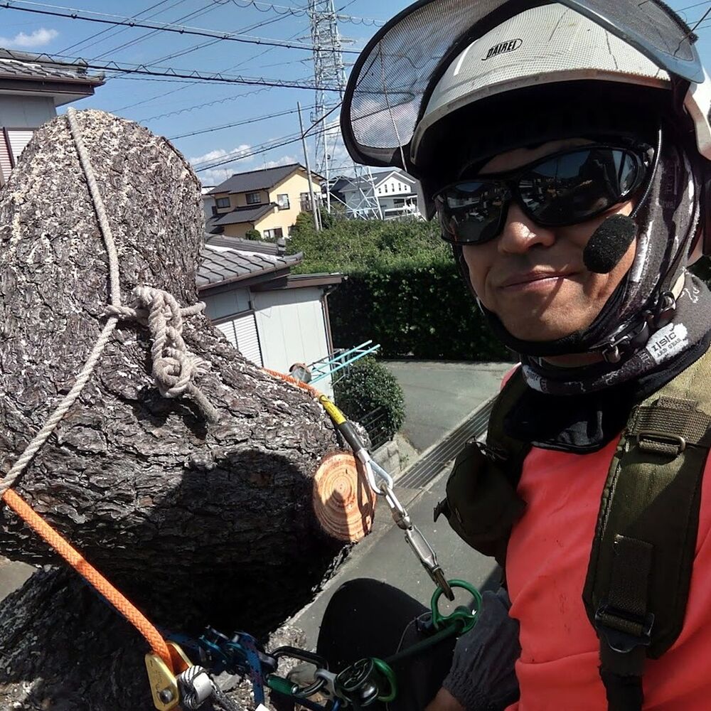 プロが教える木にまつわる豆知識