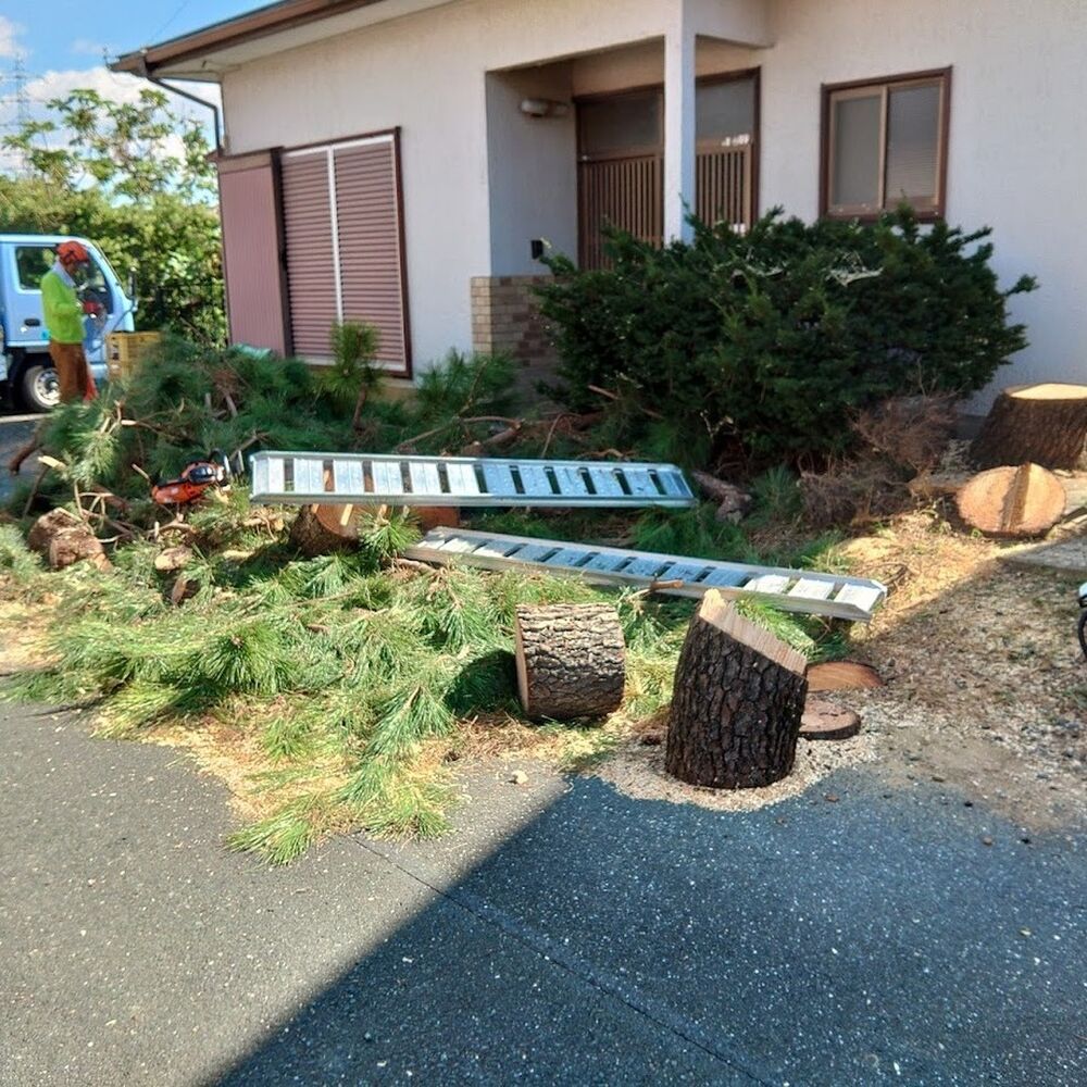 プロが教える木にまつわる豆知識