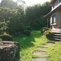 プロが教える木にまつわる豆知識