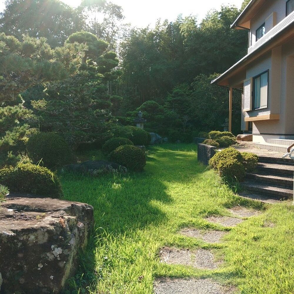 プロが教える木にまつわる豆知識