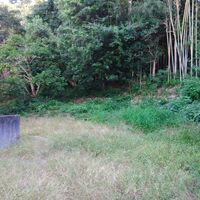 プロが教える木にまつわる豆知識