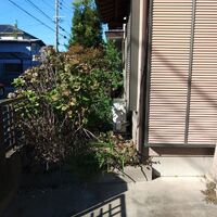 プロが教える木にまつわる豆知識