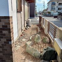 プロが教える木にまつわる豆知識