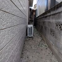 プロが教える木にまつわる豆知識