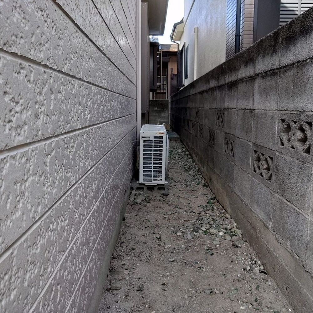 プロが教える木にまつわる豆知識