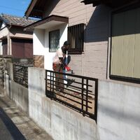 プロが教える木にまつわる豆知識