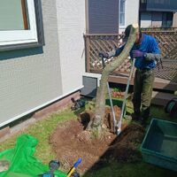 プロが教える木にまつわる豆知識