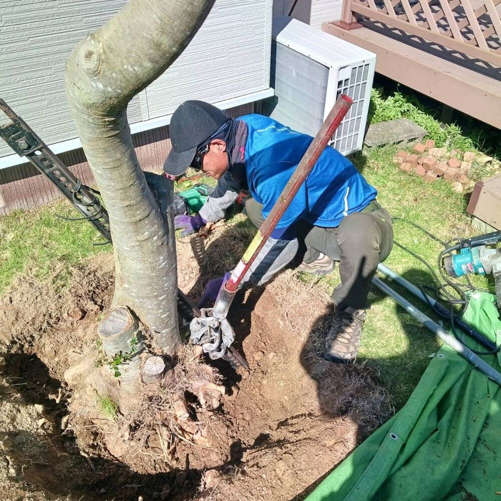 プロが教える木にまつわる豆知識
