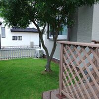 プロが教える木にまつわる豆知識