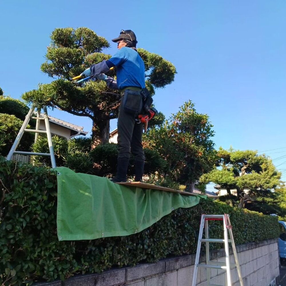 プロが教える木にまつわる豆知識